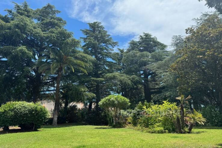 Квартира в Каннах, Франция, 34 м² - фото 5