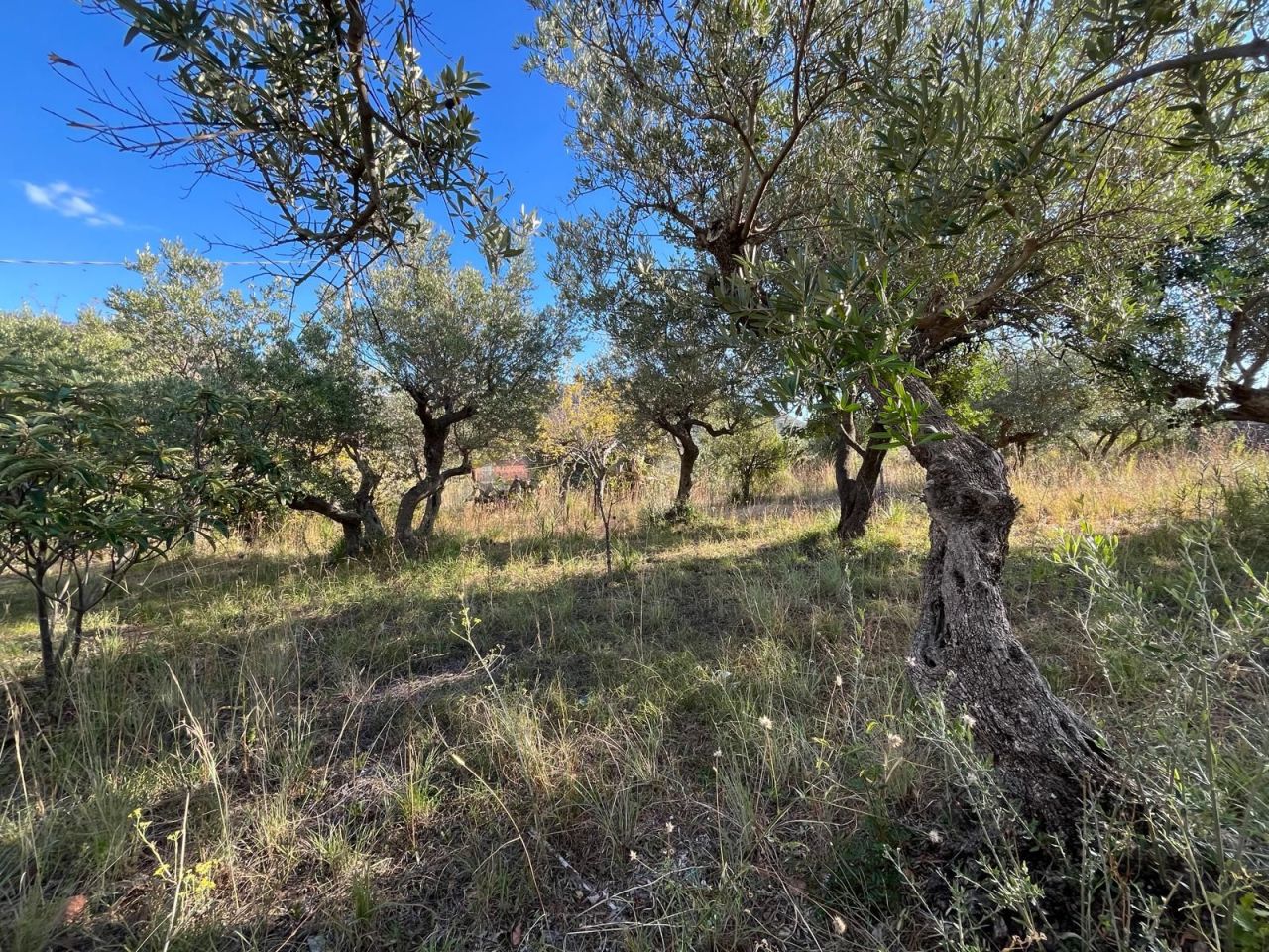 Дом в Сан-Никола-Арчелла, Италия, 120 м² - фото 18