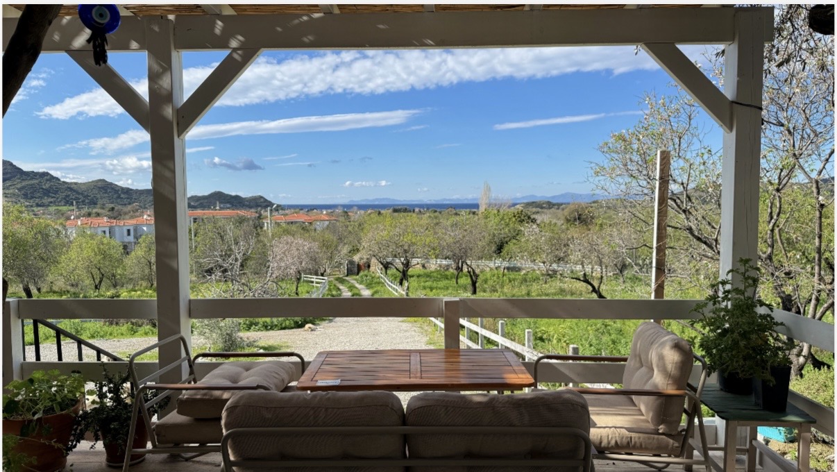 Ферма в Датче, Турция, 150 м² - фото 2