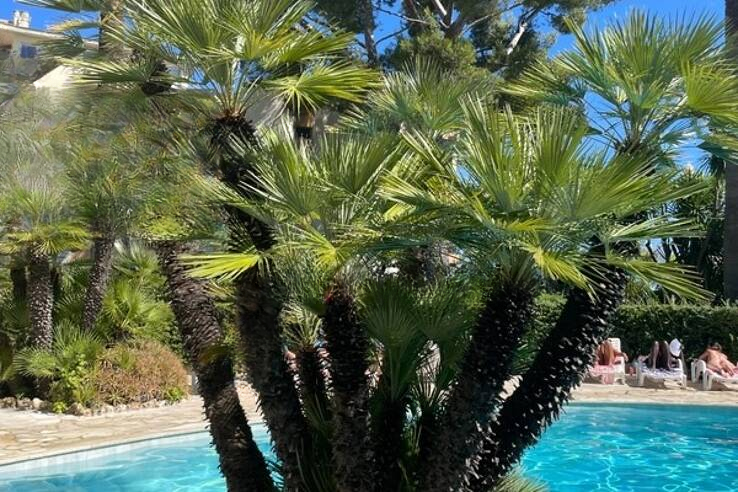 Квартира в Каннах, Франция, 83 м² - фото 2