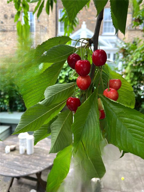 Квартира в Лондоне, Великобритания, 83 м² - фото 1