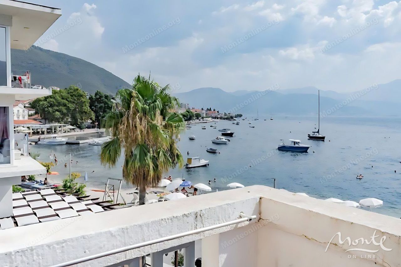 Отель, гостиница в Дженовичах, Черногория, 534 м² - фото 3