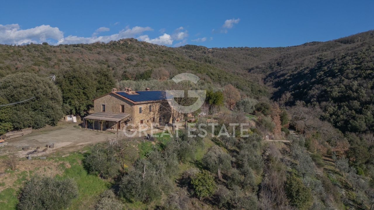 Дом в Читта-делла-Пьеве, Италия, 359.35 м² - фото 1