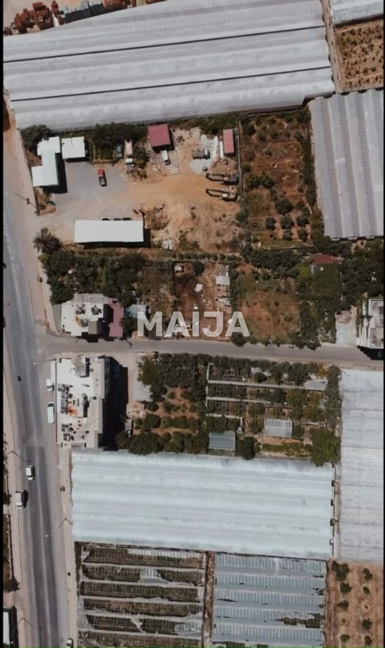 Дом в Алании, Турция, 1 875 м² - фото 4