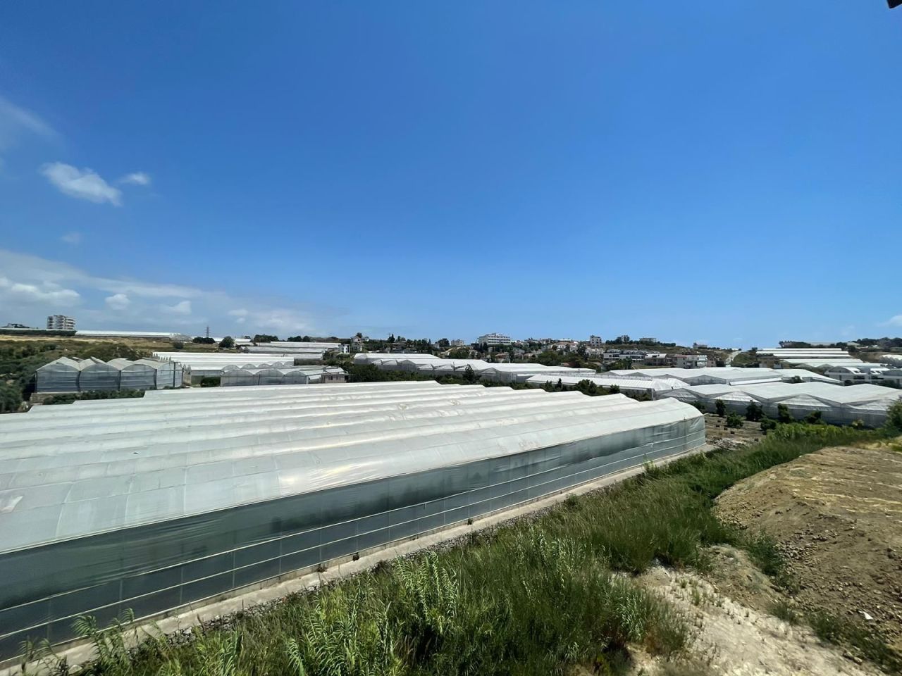 Апартаменты в Алании, Турция, 58 м² - фото 6