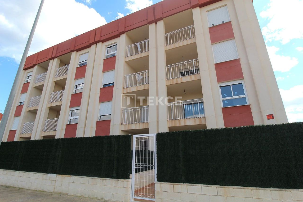 Пентхаус в Ориуэле, Испания, 133 м² - фото 3