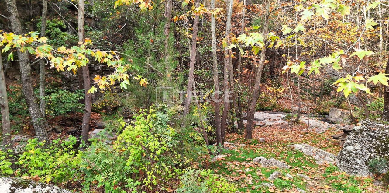 Вилла Орханели, Турция, 165 м² - фото 14