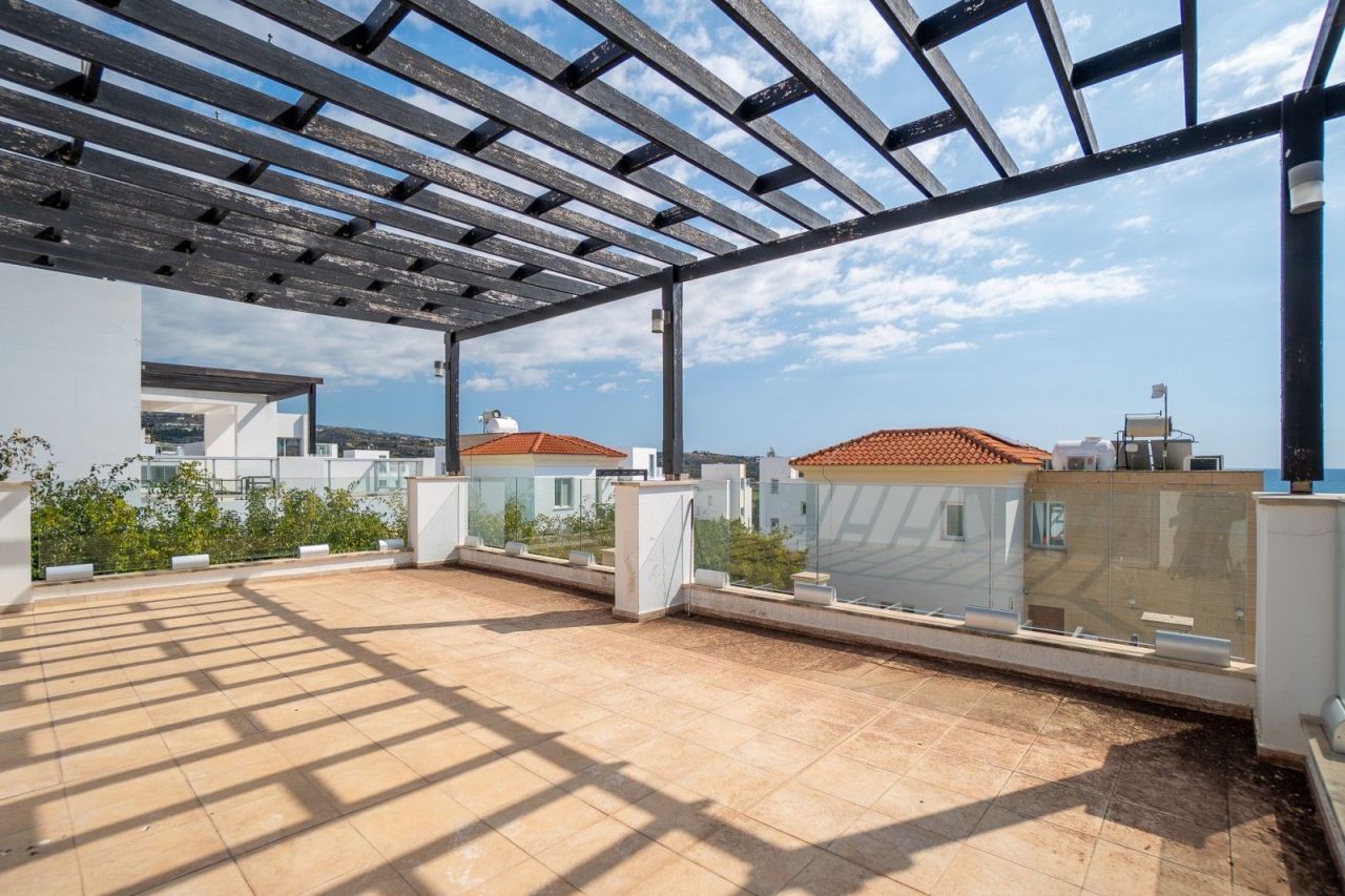 Вилла в Пафосе, Кипр - фото 15