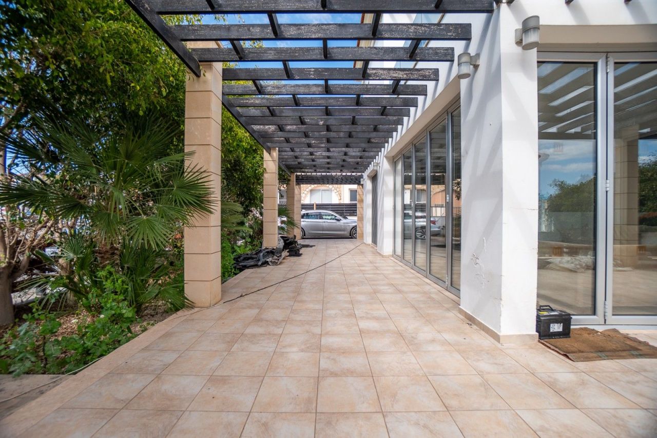 Вилла в Пафосе, Кипр - фото 17