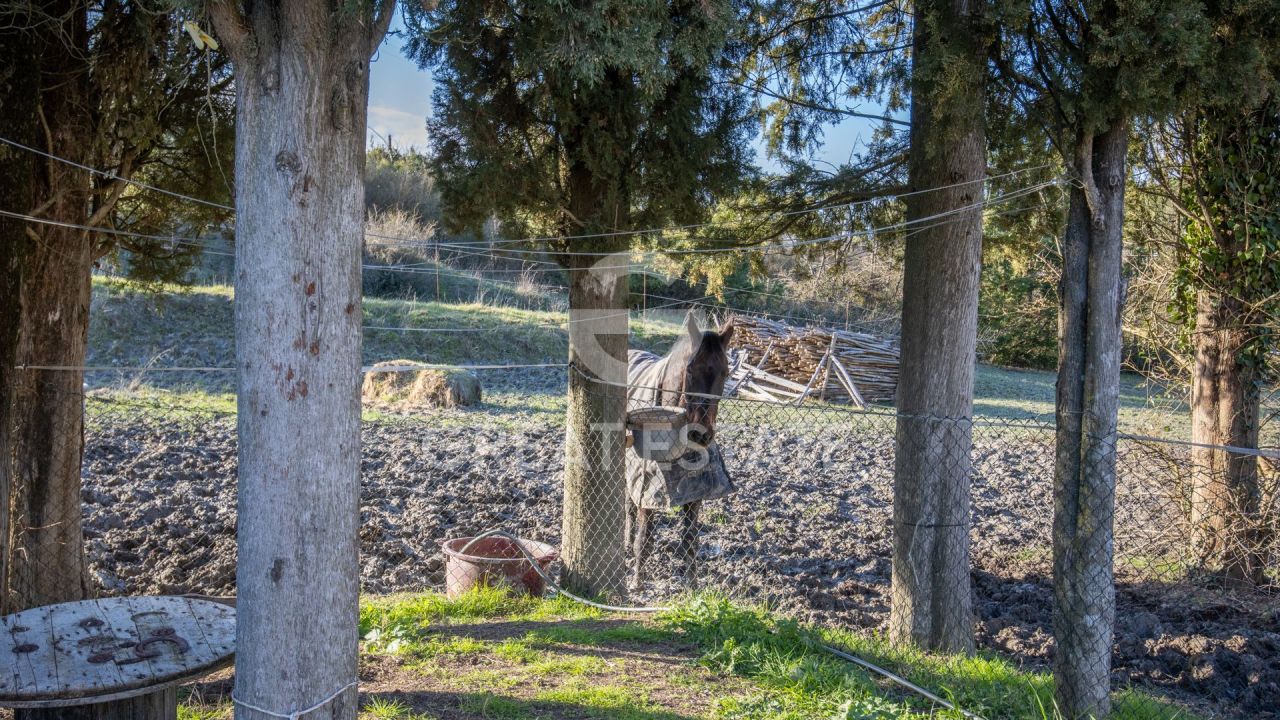 Дом в Фабро, Италия, 452.7 м² - фото 18