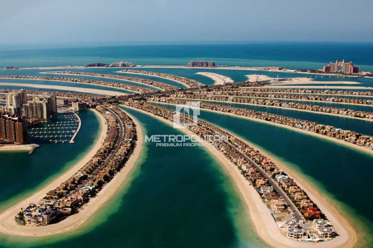 Земля в Дубае, ОАЭ, 729 м² - фото 3