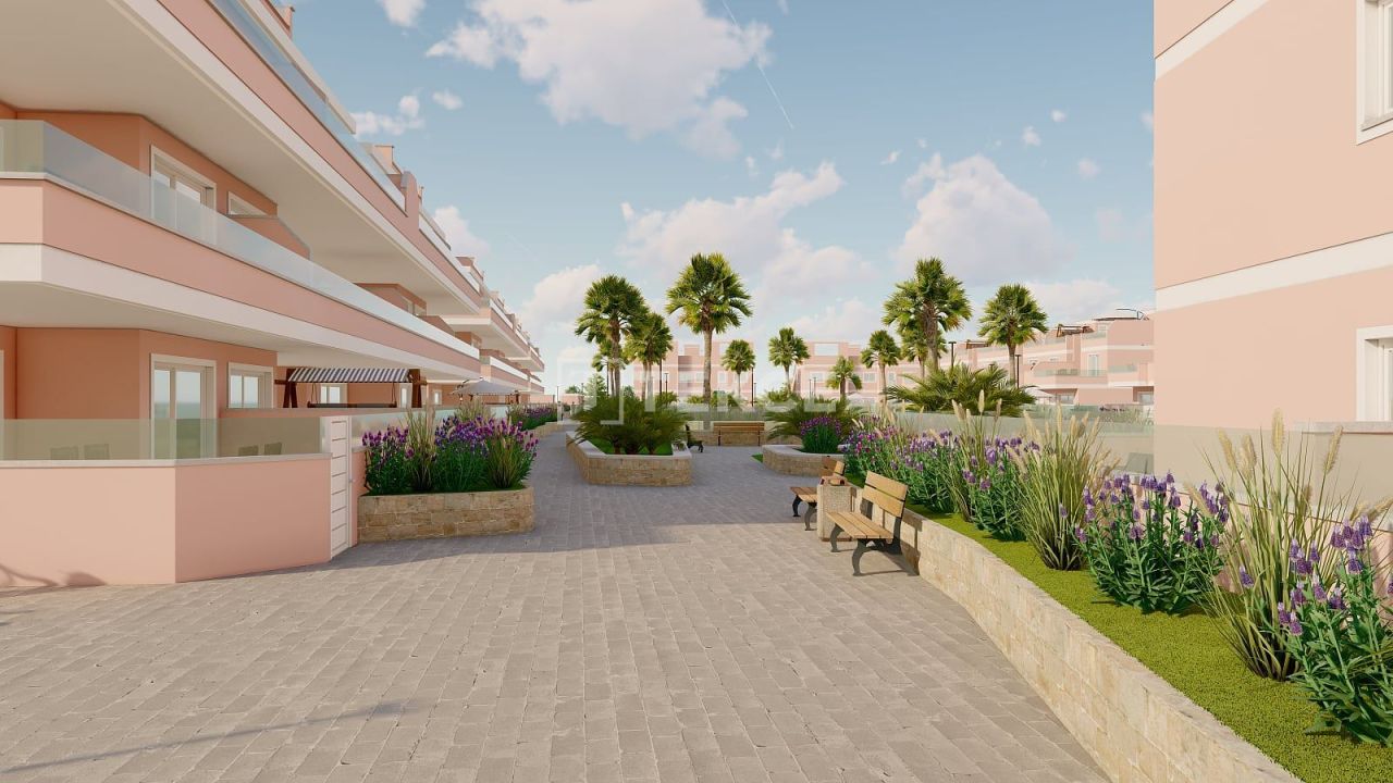 Пентхаус в Пилар-де-ла-Орадада, Испания, 74 м² - фото 15