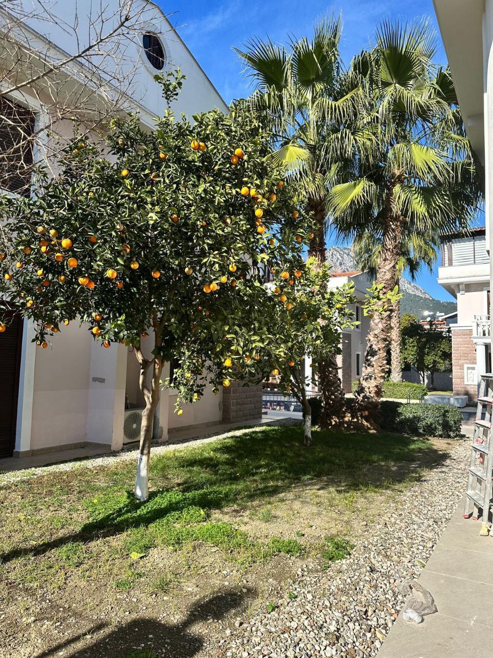 Вилла в Кемере, Турция, 180 м² - фото 5