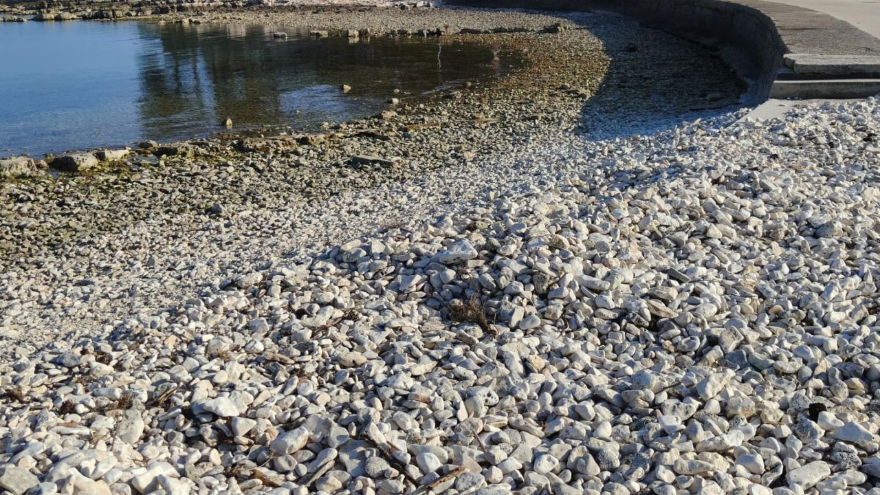 Отель, гостиница в Рогознице, Хорватия, 255 м² - фото 13