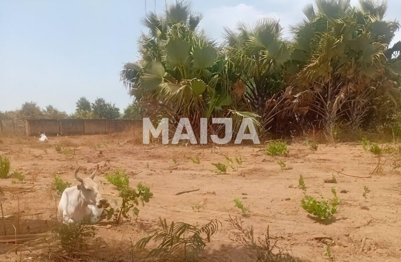 Земля Sanyang, Гамбия, 3 120 м² - фото 2