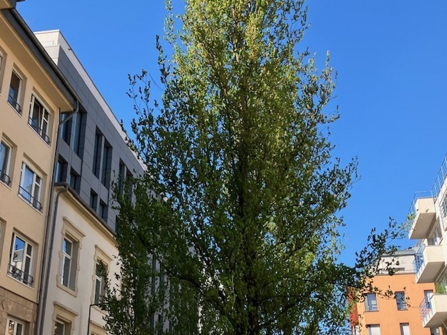 Квартира в Люксембурге, Люксембург, 43 м² - фото 1