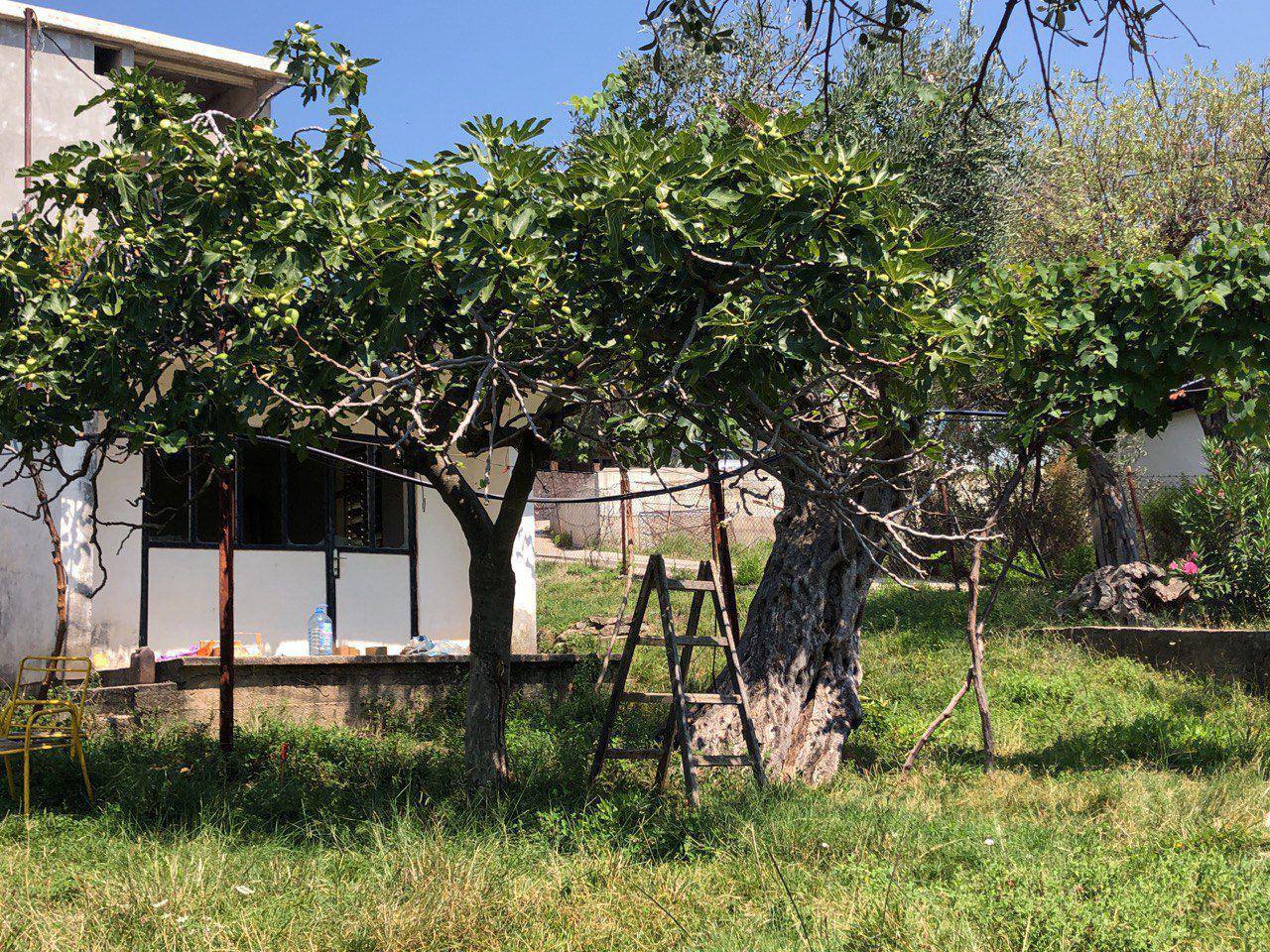 Земля в Баре, Черногория, 909.51 сот. - фото 3