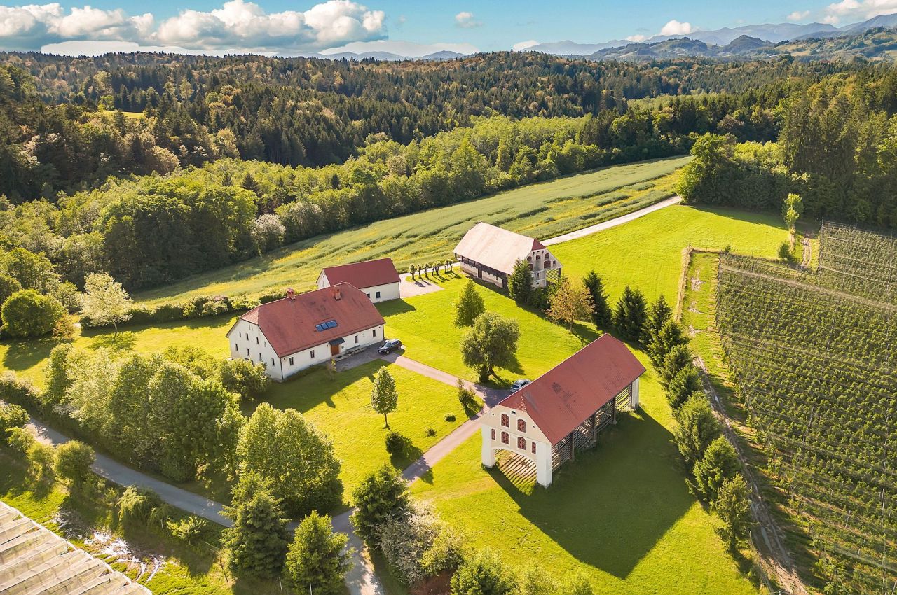 Вилла в Шентюре, Словения, 580 м² - фото 15