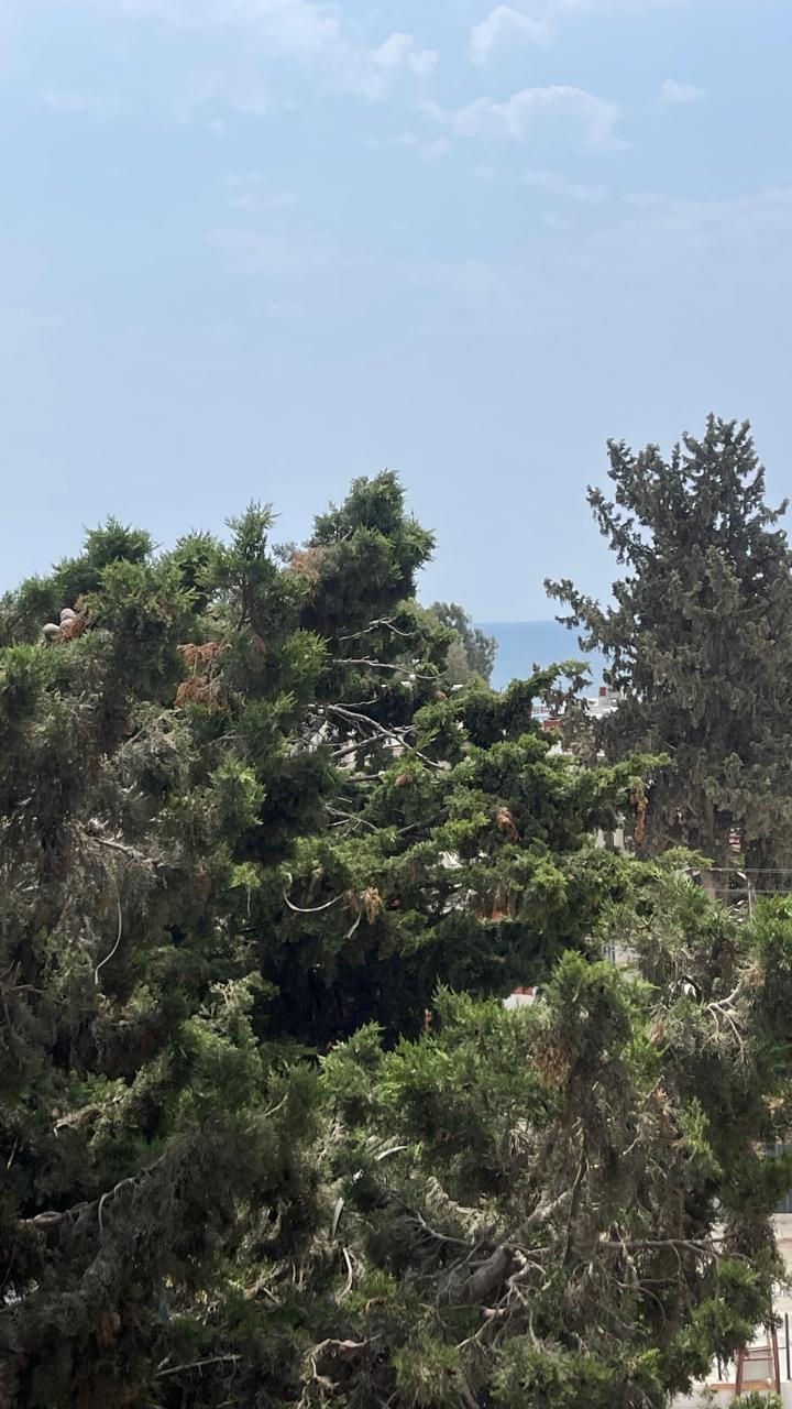 Квартира в Мерсине, Турция, 60 м² - фото 6