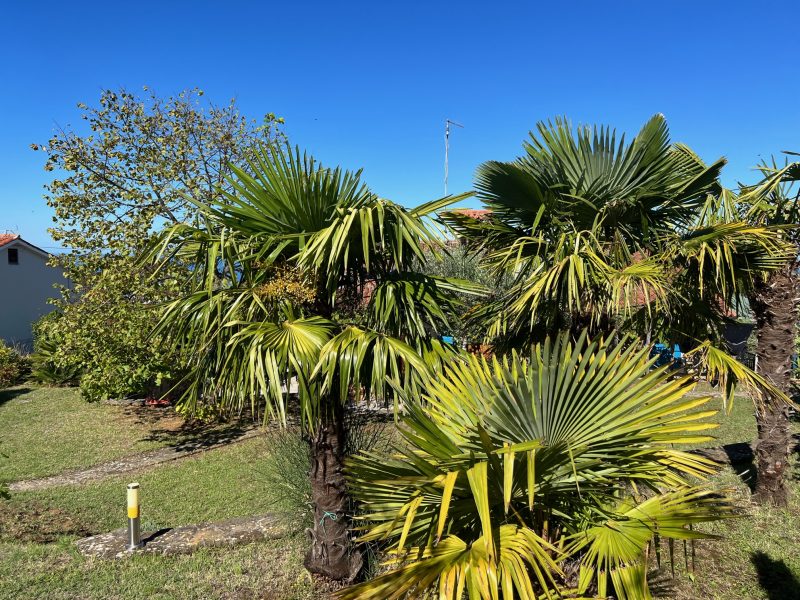 Дом в Изоле, Словения, 230 м² - фото 11