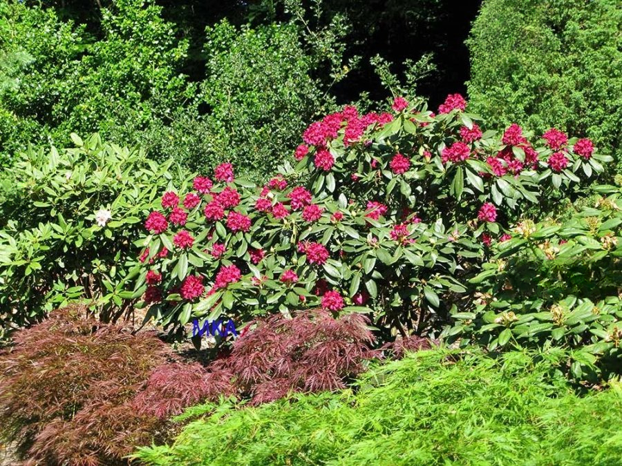 Квартира в Люксембурге, Люксембург, 303 м² - фото 6