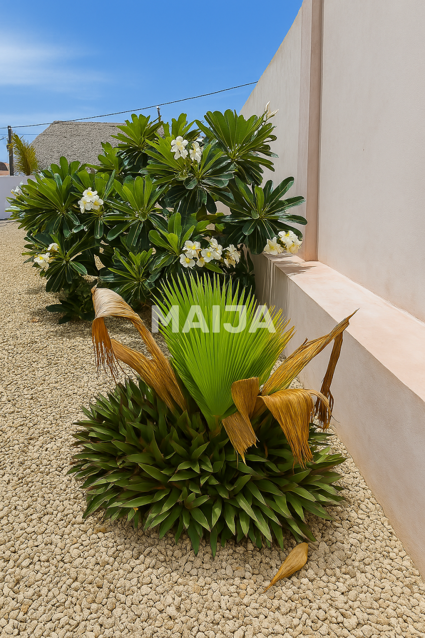 Квартира в Занзибаре, Танзания, 6 500 м² - фото 3