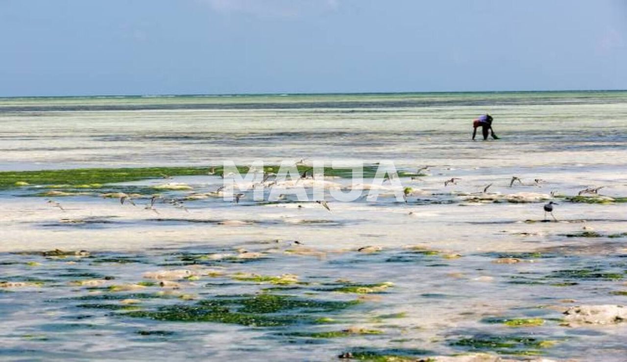 Земля Pongwe, Танзания, 5 000 м² - фото 6