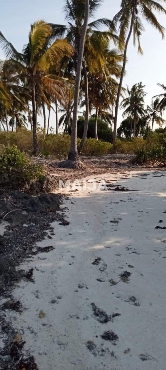 Земля Pongwe, Танзания, 5 000 м² - фото 10