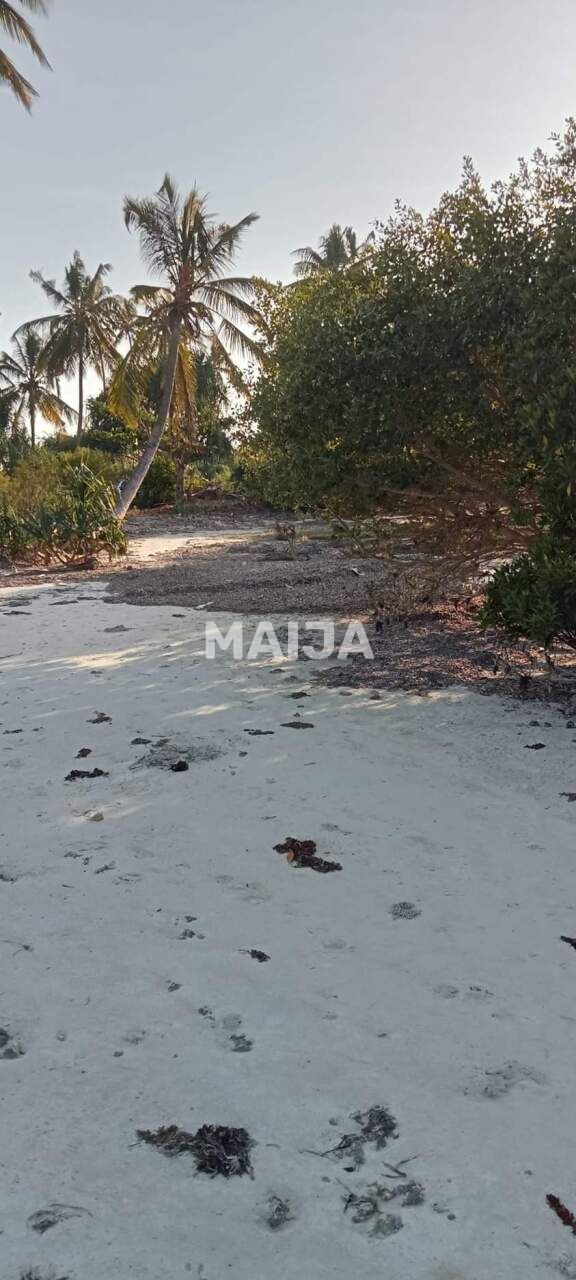 Земля Pongwe, Танзания, 5 000 м² - фото 12