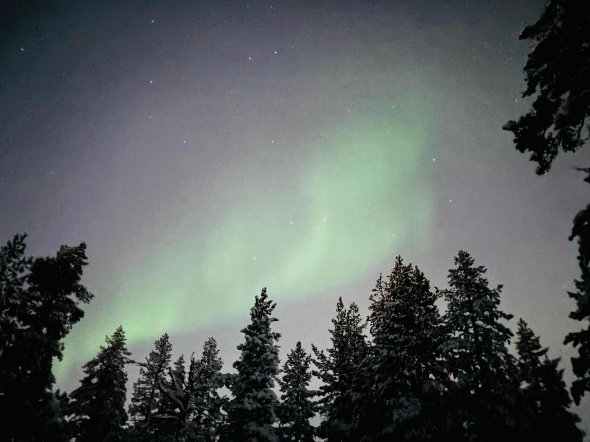 Шале в Саариселька, Финляндия, 59 м² - фото 3