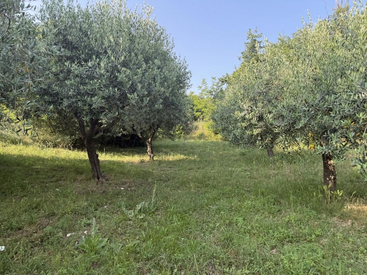 Дом Istria, Barban, Хорватия, 178 м² - фото 19