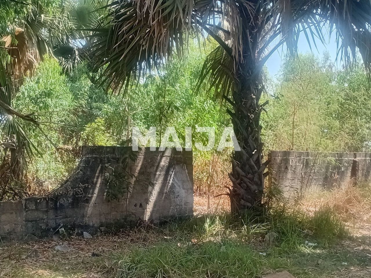 Земля Bakau, Гамбия - фото 1