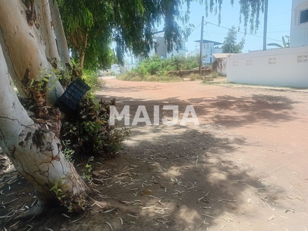 Земля Bakau, Гамбия - фото 3