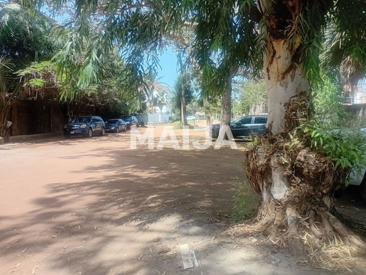 Земля Bakau, Гамбия - фото 4