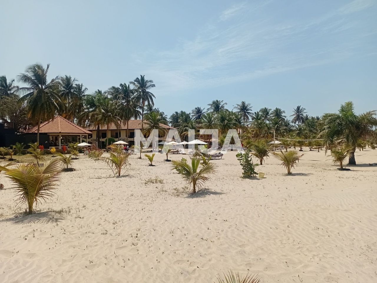 Земля Bakau, Гамбия - фото 5