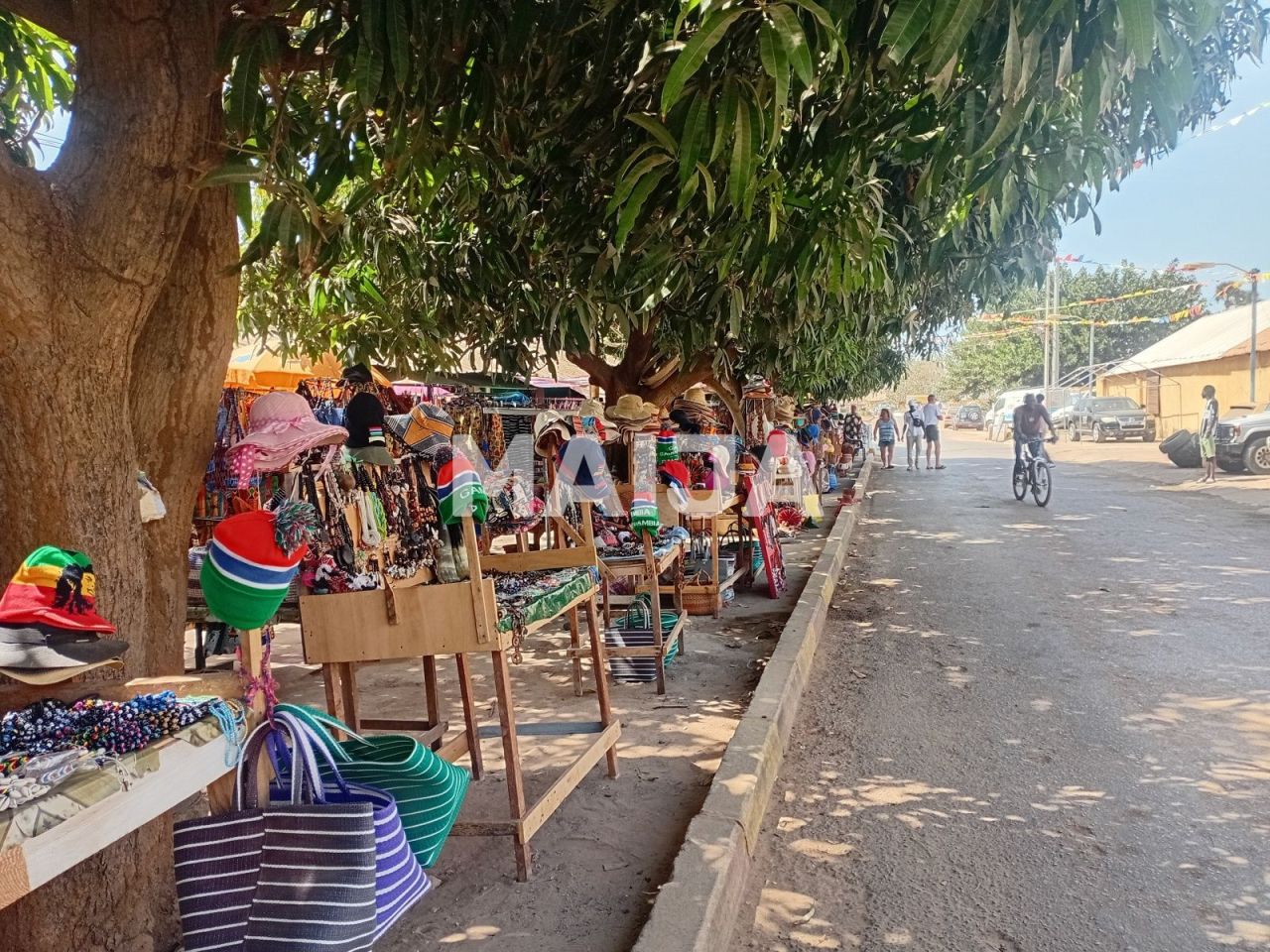 Земля Bakau, Гамбия - фото 8