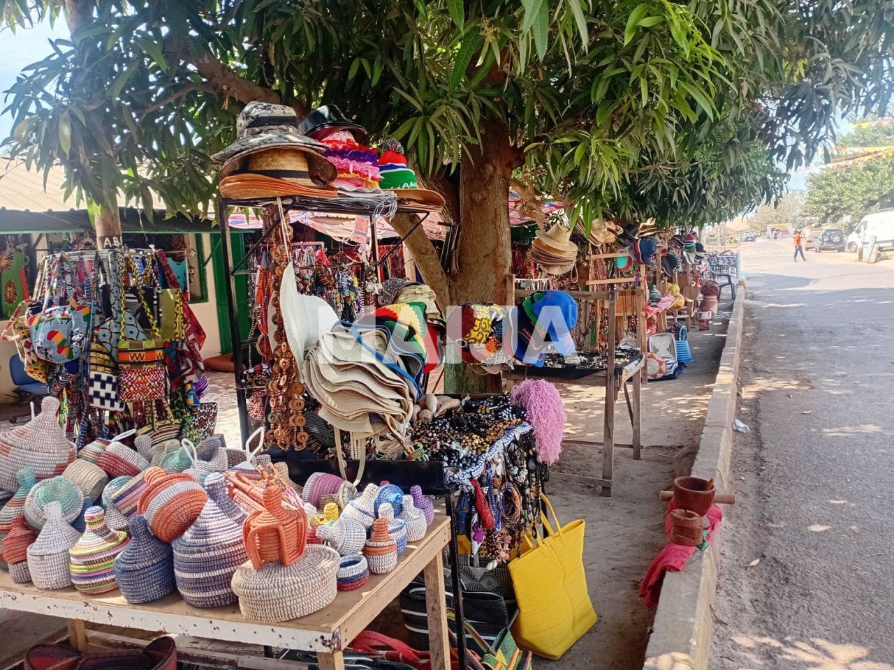 Земля Bakau, Гамбия - фото 9