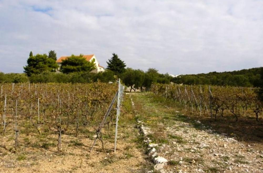 Вилла Murter, Хорватия, 545 м² - фото 13