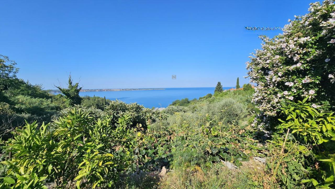 Дом в Пиране, Словения, 275 м² - фото 2