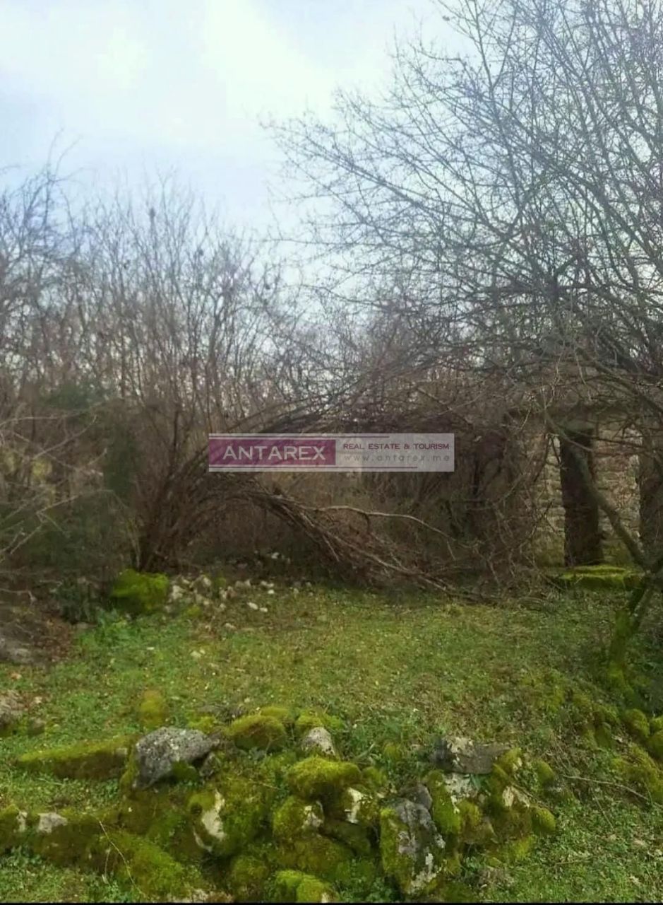 Земля в Даниловграде, Черногория, 753 м² - фото 3