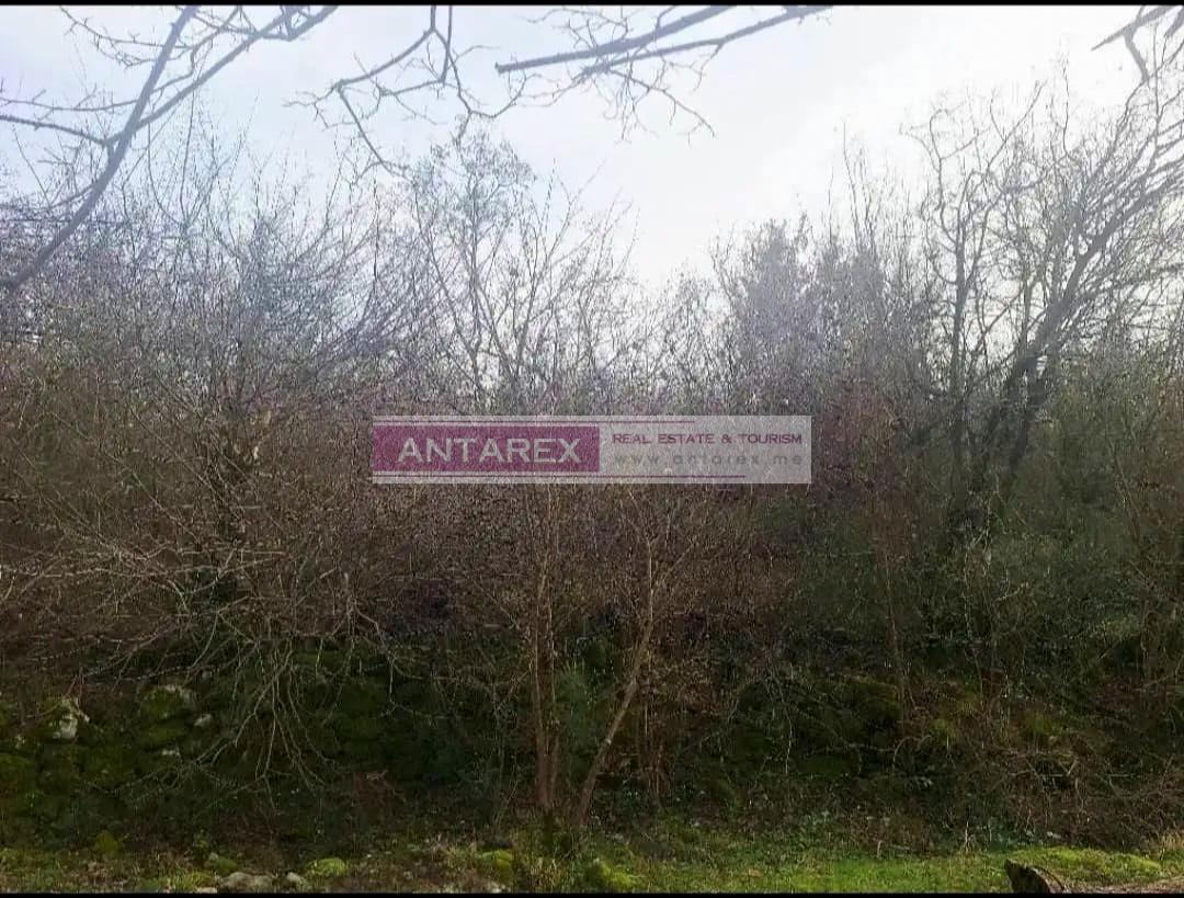 Земля в Даниловграде, Черногория, 753 м² - фото 4