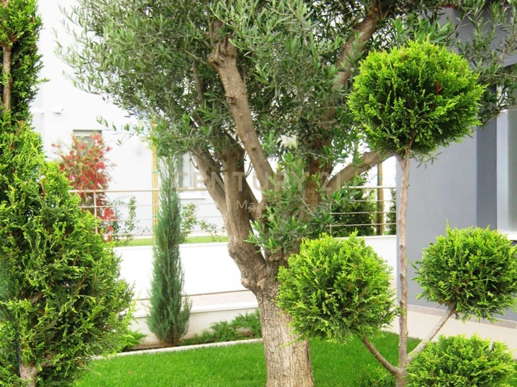 Квартира в Помосе, Кипр, 222 м² - фото 6