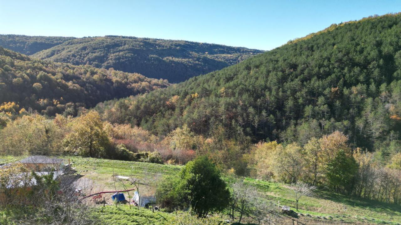 Дом в Копере, Словения, 514 м² - фото 6