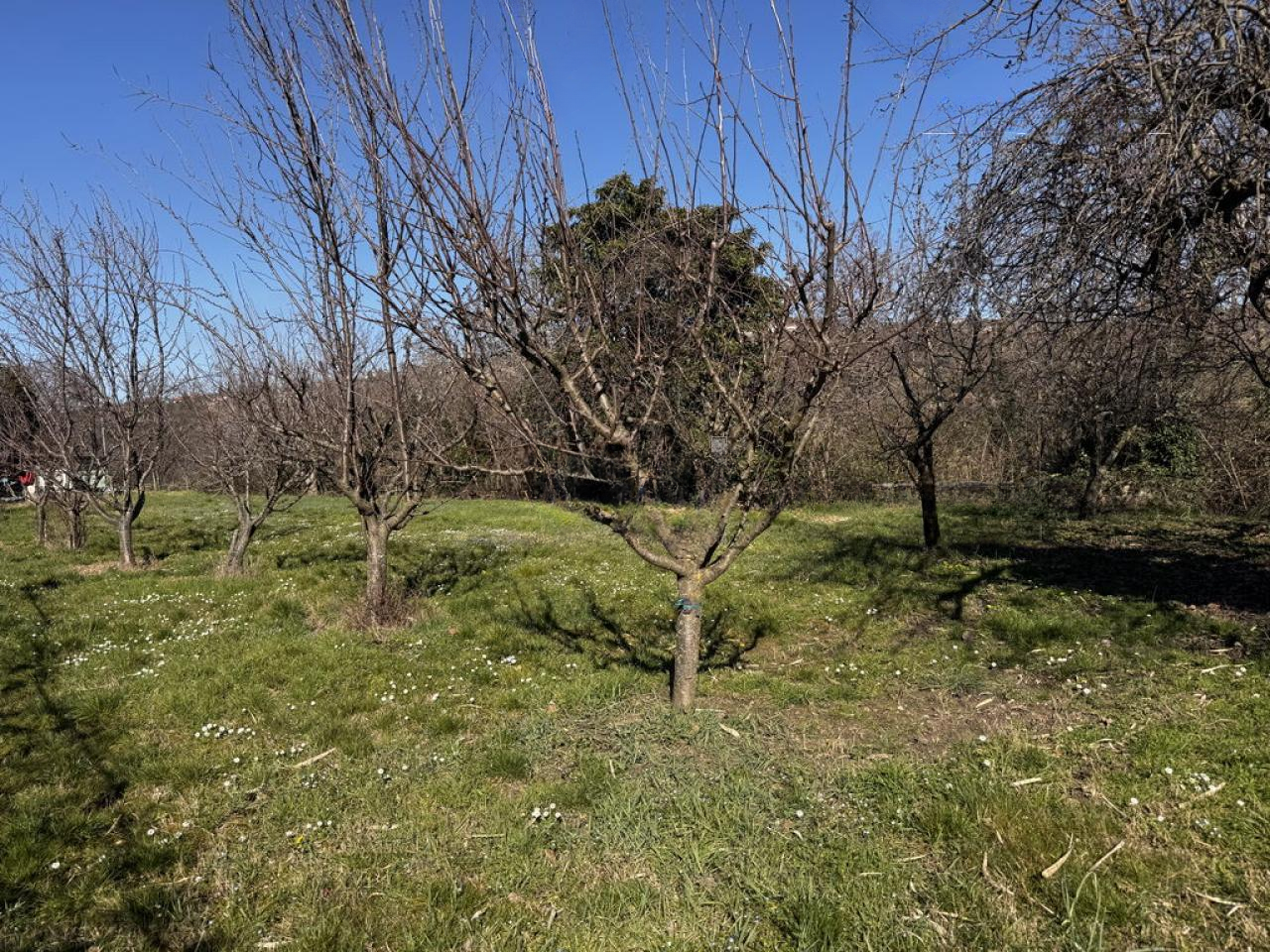 Дом в Пиране, Словения, 116 м² - фото 9