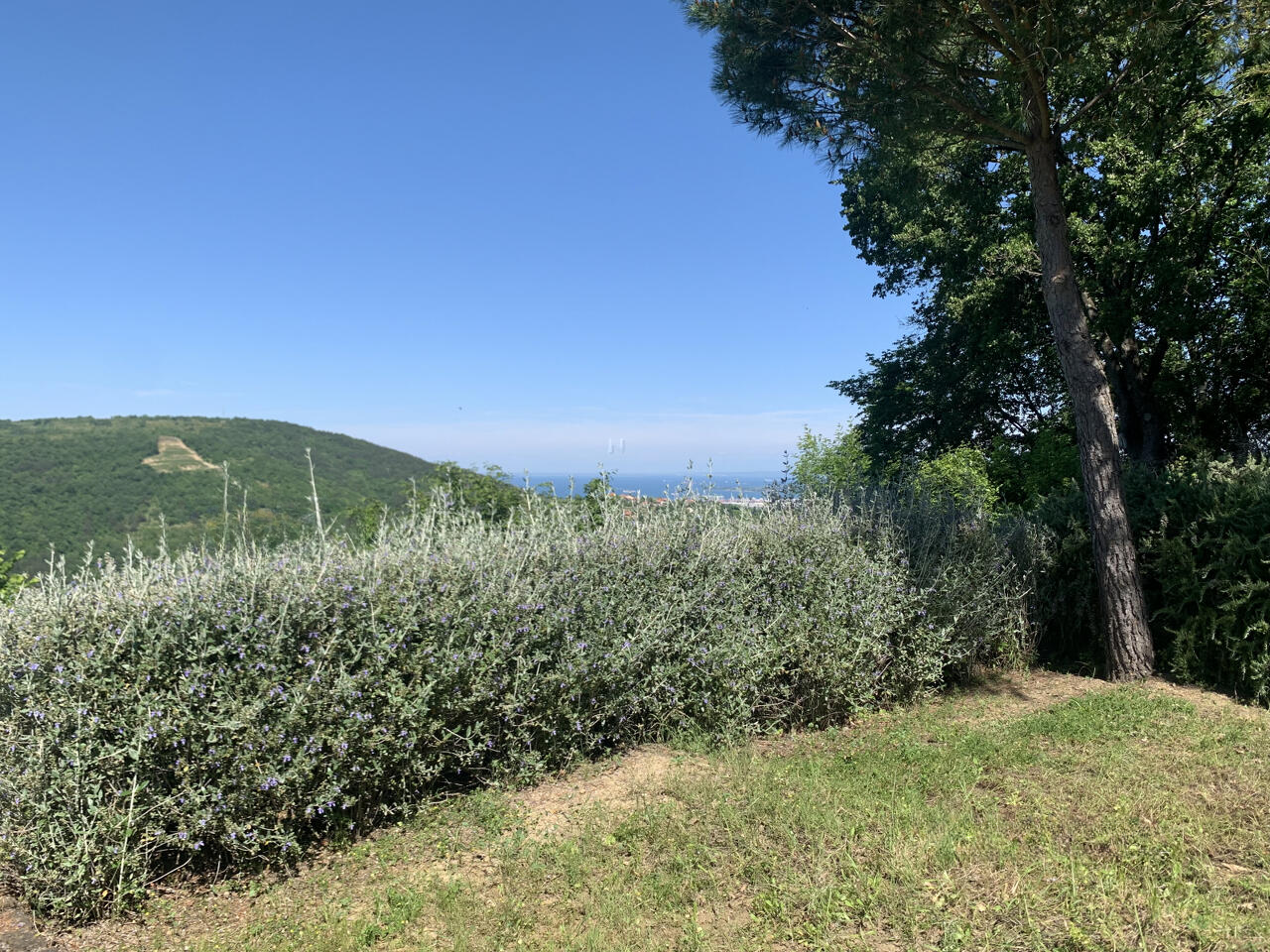 Дом в Копере, Словения, 303 м² - фото 10