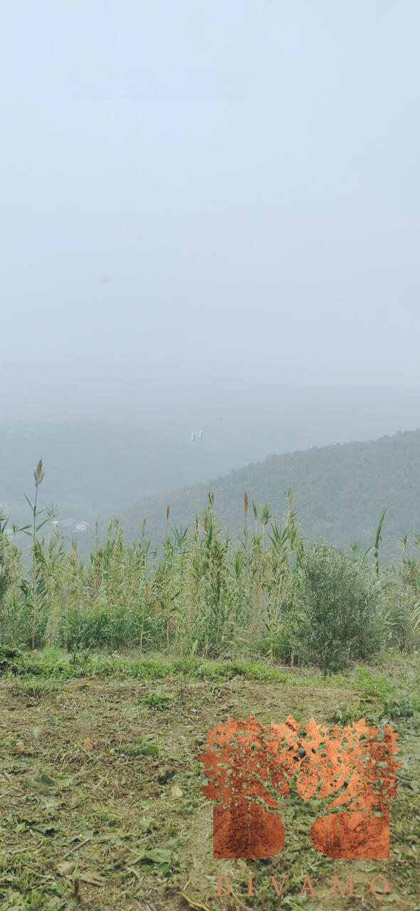 Дом в Копере, Словения, 90 м² - фото 16