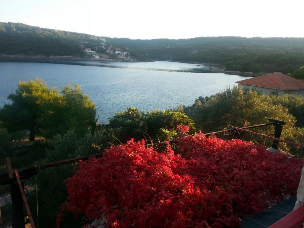 Вилла Necujam, Хорватия, 230 м² - фото 3