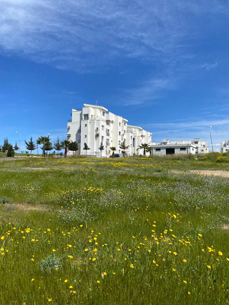 Пентхаус в Богази, Кипр, 45 м² - фото 3