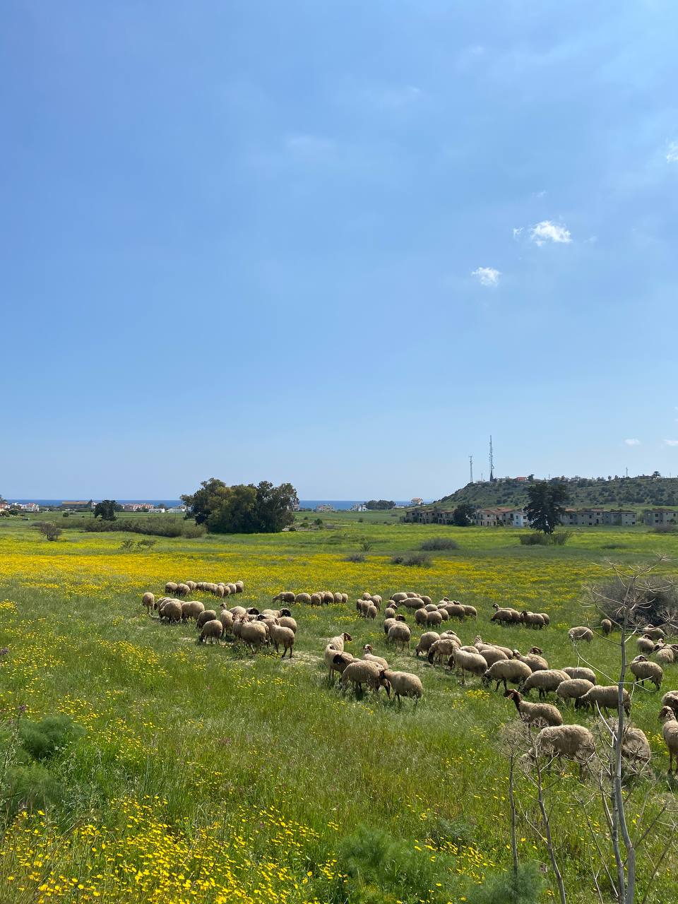 Пентхаус в Богази, Кипр, 45 м² - фото 12