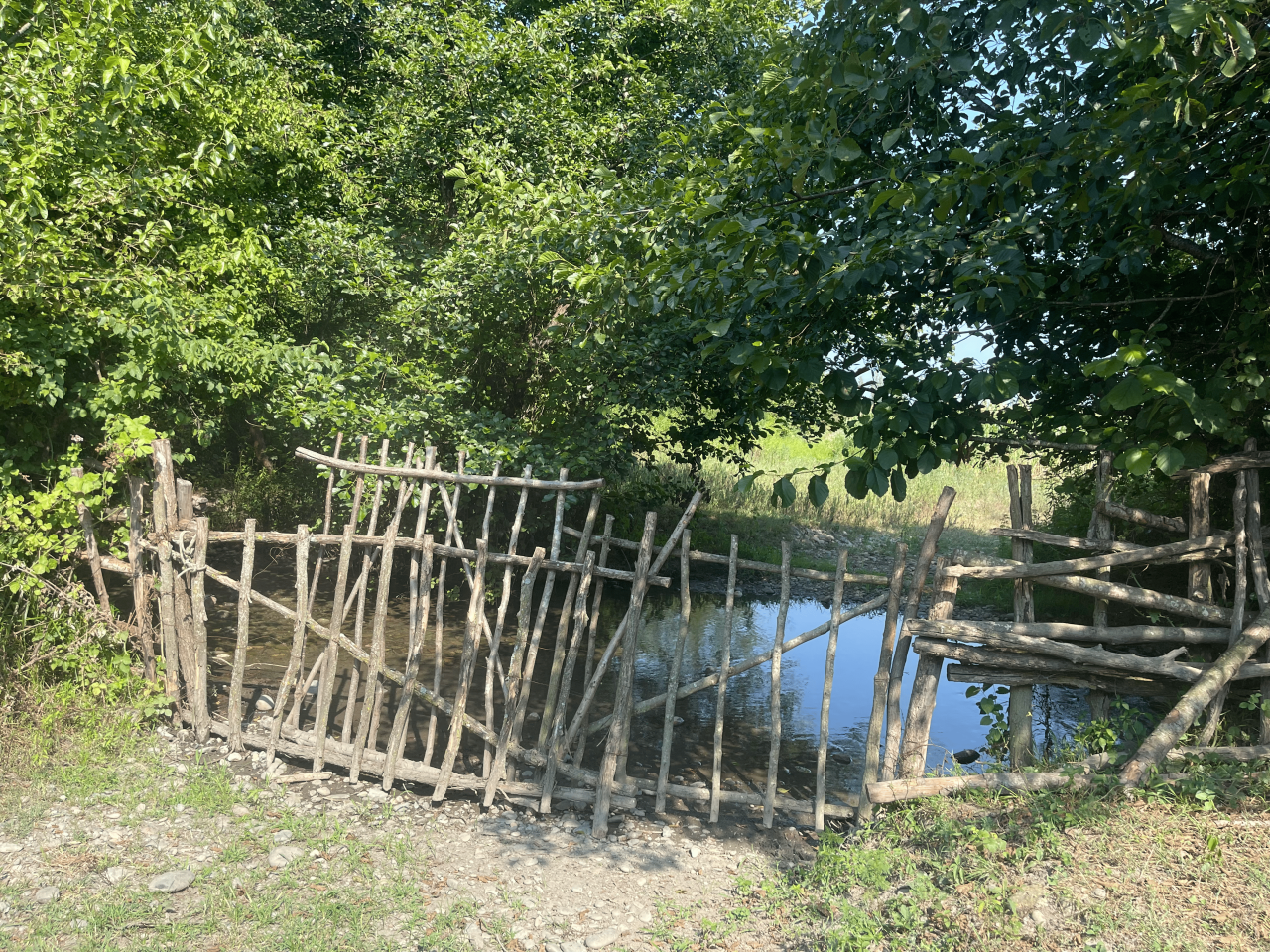 Земля в Хони, Грузия, 25 Га - фото 7